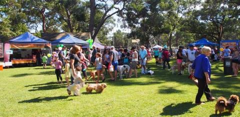 dog-events