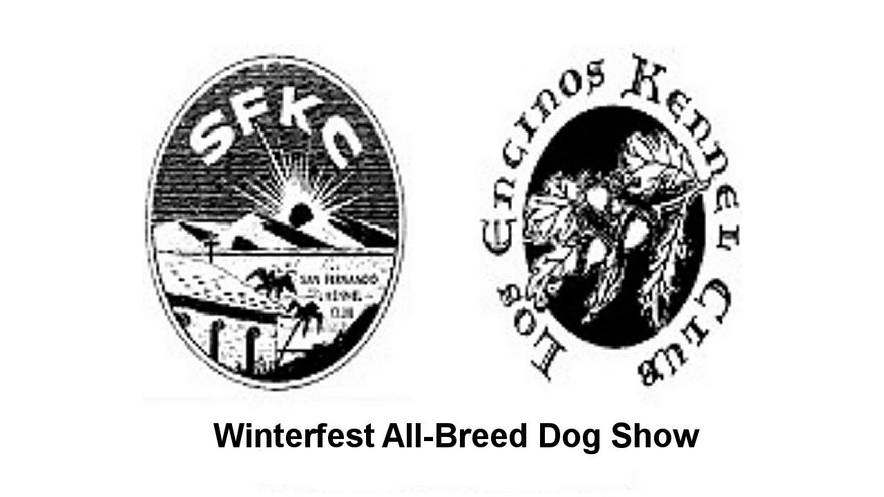 Winterfest Dog shows - Ventura 2025